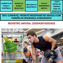 Creatina Pura Importada 600g Importada Com Laudo  Natural