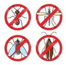 Kit 02 Ralos Tampa Grelha Inox Redonda 10 Cm Fecho Rotativo