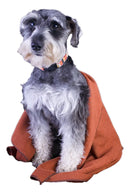 Celeste Pano de Chão de Microfibra Pano - Sortidas - 3 - Unidade - 1 - 48 cm - 58 cm