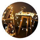 NB Casa Cordao Pisca Led 40 Bolinhas Branco Quente Cor das luzes Branco-quente