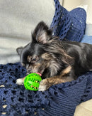 Brinquedo Interativo Caes Porta Petiscos Ração Anti Stress ! Cor Azul