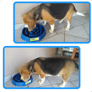 Comedor Cachorro Grande Interativo Lento Pote Ração Água Tigela Cor Azul