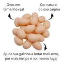 Kit 12 Ovos Falsos Brincadeira Plástico Para Indez Galinha Cor Colorido