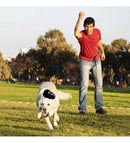 Kong Extreme Large Grande Brinquedo Dispenser Para Cães Cor Preto