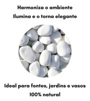 Pedra Branca De Jardim Seixo Dolomita Nº3 Para Canteiro 10kg Cor Branco Verde Garden
