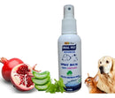 Spray Bucal Gatos E Cães Elimina Mau Hálito E Anti Tártaro Sabor Menta