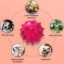 Brinquedo Para Cães Bola Grande Maciça Extra Forte 70mm Cor Azul