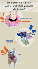 Colar Cone Elizabetano Macio Ajustável - Gatos  Cinza M