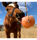 Sal Rosa Do Himalaia Para Equinos Bovinos E Caprinos 2,9kg