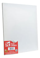 Tela De Pintura 30x40 - Grampeadas Na Parte De Trás