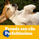 Petisco para Cães Adultos Raças Pequenas Leite Pedigree Biscrok Pouch 1kg