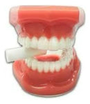 Mordedor Ativador Alinhador Invisív Chewie Invisalign Branco