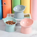 Comedouro Bebedouro Elevado Ursinho Acrílico Gatos E Cães Cor Cinza Gatinho