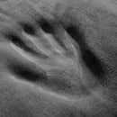 Cobertor Coberta Manta Solteiro Microfibra Camesa Inverno Cor Cinza