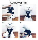 Coleira Peitoral Para Gatos Com Guia Cor Preto Tamanho da coleira P Bacon Born