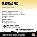 Mini Bíblia Feminina Infantil De Bolsa Com Índice Letra Pequena Arc Leão Seja Forte E Corajosa Jovem Fé