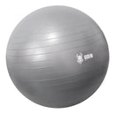 Bola Yoga Suiça Pilates Abdominal Gym Ball 55cm Bomba Grátis Cor Cinza-claro