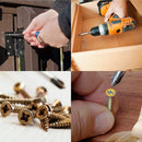 Kit Parafuso + Bucha Com Anel 6mm 8mm - 600 Peças