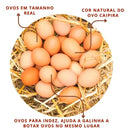 Kit 24 Ovos Falsos Plástico Para Indez Galinha, Cor Ovo Caipira Marrom, Estimula Postura Correta, Evita Ovos Quebrados