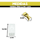 Terminal Encaixe Femea Com Trava 6,3mm+ Capa C/ 100