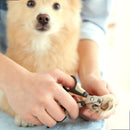 Cortador De Unha Para Cachorro E Gato Pequeno E Médio Porte