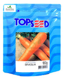 Sementes De Cenoura Brasilia (verão) Pcte C/ 100 Gramas