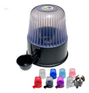 Bebedouro Pelos Longo Shih Tzu Cães Gato Raça Peq. S/ Mo Preto