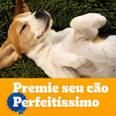 Kit 3 Petisco Para Cães Adultos Pedigree Biscrok Multi 1kg