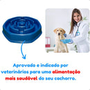 Comedor Cachorro Grande Interativo Lento Pote Ração Água Tigela Cor Azul