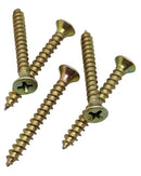 100 Parafusos Phillips C/bucha 8 Anel 8mm