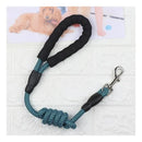 Guia De Passeio Para Cachorro Pequeno Porte 1.20m Premium Cor Azul