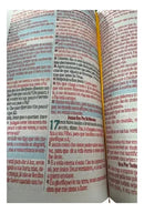 Bíblia Sagrada RC Harpa Avivada e Corinhos Letra Hipergigante Editorial Luxo cor Preta com Índice