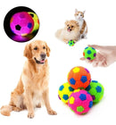 Kit 2 Brinquedos Pet Interativo Bolinha Som Luz De Led Cor Sortido