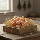 Kit 24 Ovos Falsos Plástico Para Indez Galinha, Cor Ovo Caipira Marrom, Estimula Postura Correta, Evita Ovos Quebrados