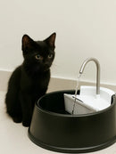 Fonte Bebedouro Gatos Cães 1,5l Filtro Joy Elétrico Cor Preta