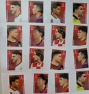 Copa 2022 - Kit Completo 8 Figurinhas Coca Cola Rápido Personagem Figurinhas Coca Cola Copa 2022