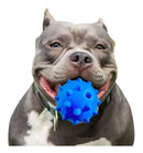 Brinquedo Para Cães Bola Grande Maciça Extra Forte 70mm Cor Azul