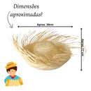 Kit 10 Chapeu Desfiado Estilo Caipira Para Festa Junina