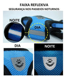 Coleira Peitoral Para Gatos Com Guia Cor Preto Tamanho da coleira P Bacon Born