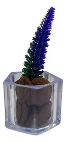 Kit Mini Vasinhos Decorativos Com Plantinhas Suculenta