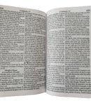 Bíblia Com Harpa Feminina/masculina Hipergigante Grande 21cm