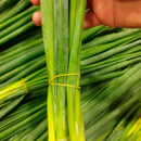 Elastico De Silicone Amarrar Verduras Temperos 32x09mm Pacote Borrachinha 500g Sem Látex Organização Escritório Colagem Tela Celular Liga Resistente Dona D.cor