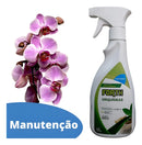Fertilizante Orquídeas Manutenção Pronto Uso 500ml Forth