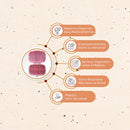 Caixa Porta Comprimidos E Suplementos Semanal Diário Seguro Cor Rosa