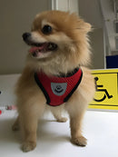 Coleira Peitoral Para Cachorro Pet Colete Refletivo + Guia Cor Vermelha Top Reflexível Tamanho da coleira M