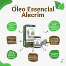 Óleo Essencial Alecrim Orgânico Wnf P/ Memória Concentração Tipo De Embalagem Vidro Ambar Fragrância Alecrim