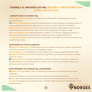 Mel de abelha 100% Puro 1 Kg Apicultura Borges Florada de Laranjeira