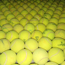 10 Bolinhas De Tênis Para Pets, Cães, Gatos, Artesanato,etc