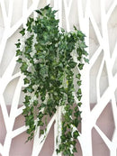 Kit 12 Pendente Planta Artificial Folha Hera 24 Metros