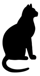 Vinil Adesivo Recorte Silhouette Preto Brilho Rolo 5m X 30cm Cor Preto Brilho - 101PREBRI30C